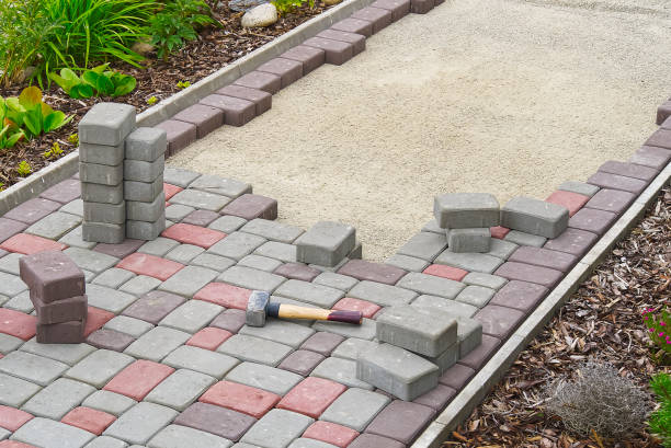 Best Professional Driveway Pavers  in Leon Valley, TX